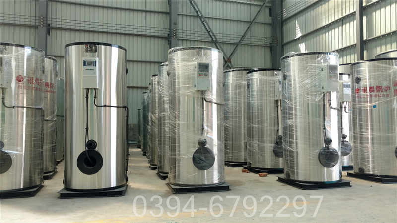 工业燃气蒸汽锅炉(图2)