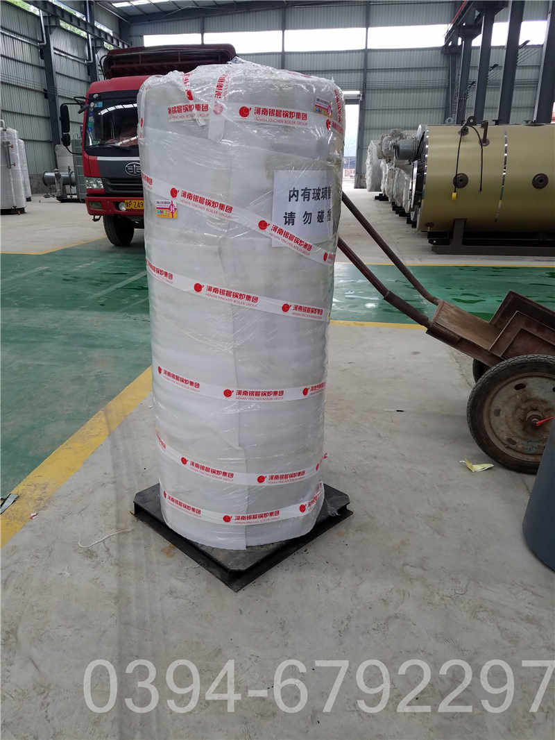 导热油炉4吨(图2)