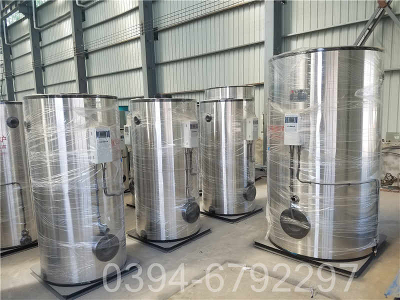 工业电蒸汽锅炉(图3)