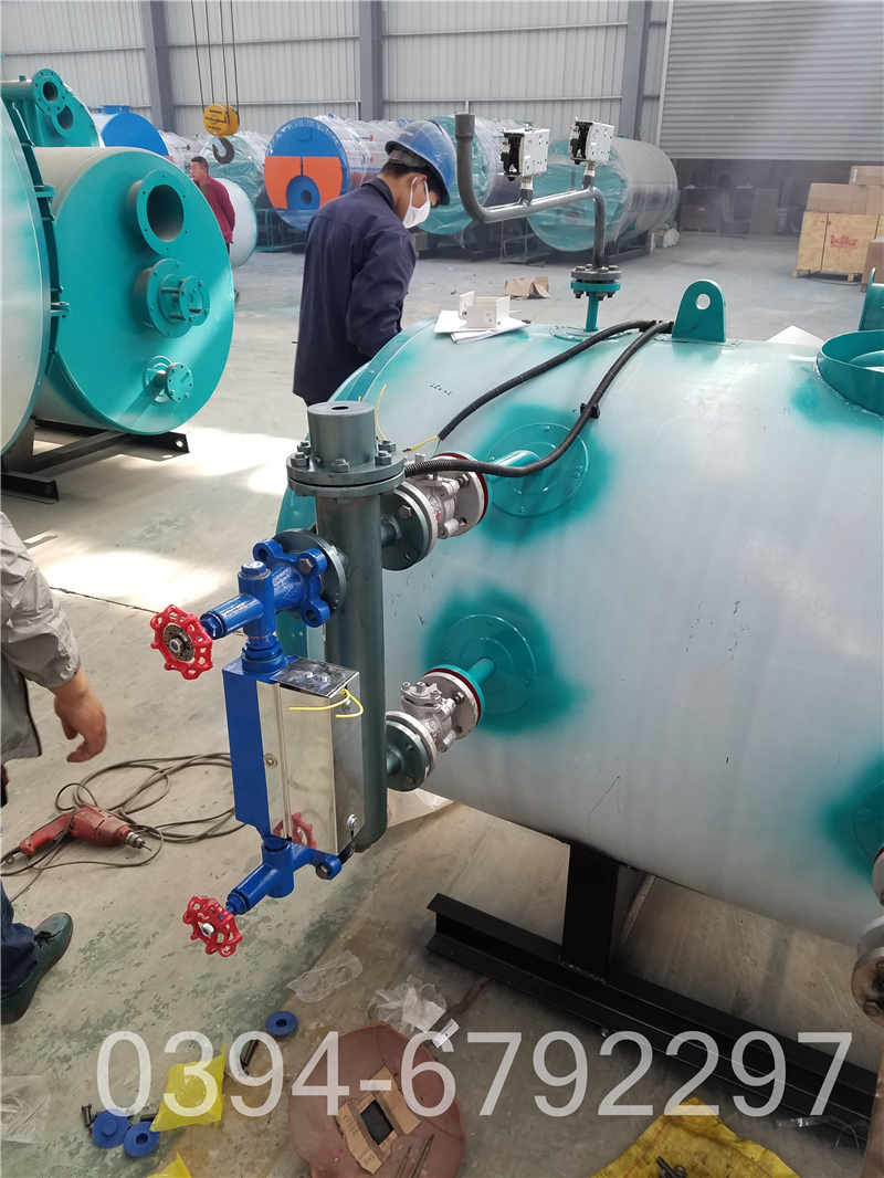 15吨低氮燃气锅炉(图3)