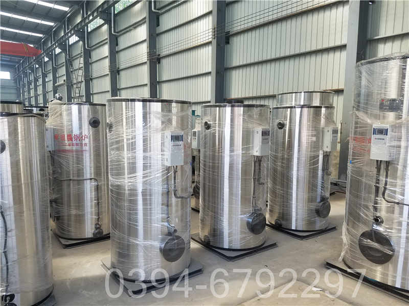 浙江4吨天然气热水锅炉(图3)
