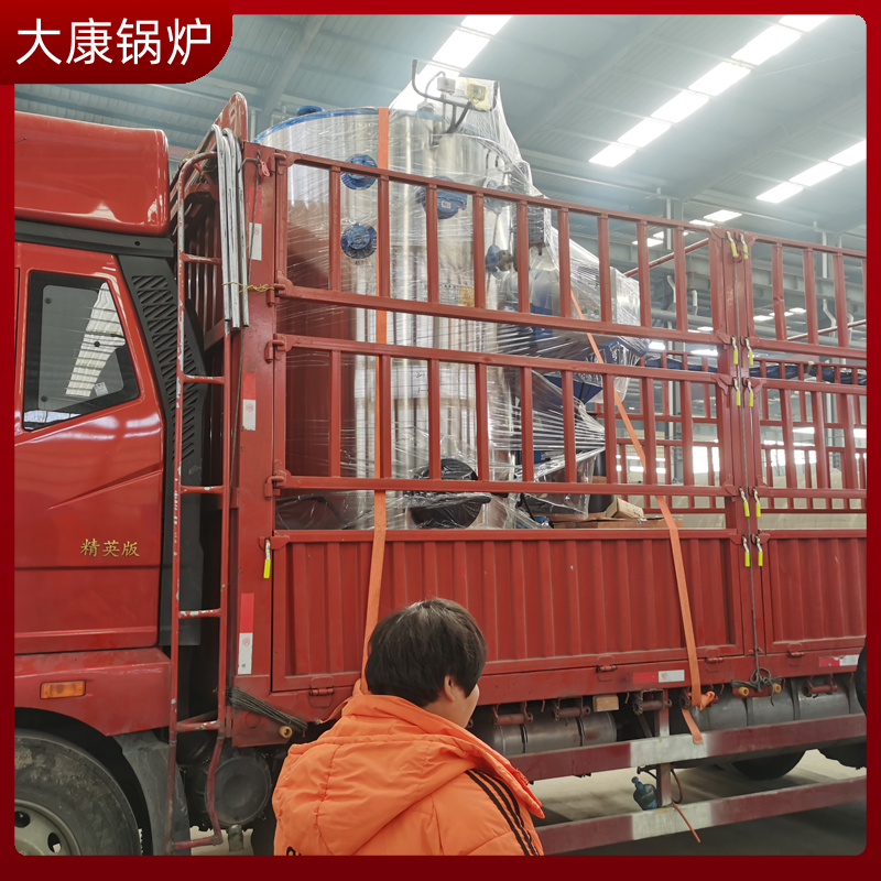 20吨生物锅炉