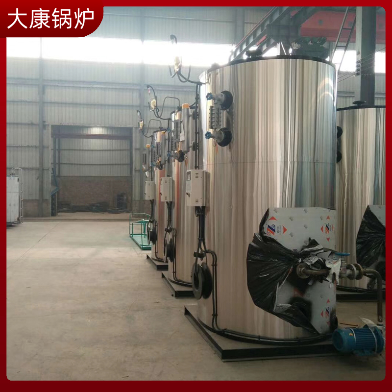 生物质两用锅炉大康锅炉供暖锅炉的生产厂家