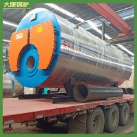 广东cwzk10.5小型锅炉